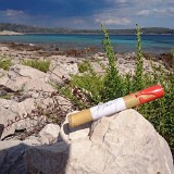 Drvenik Mali - 2017 - Lisa